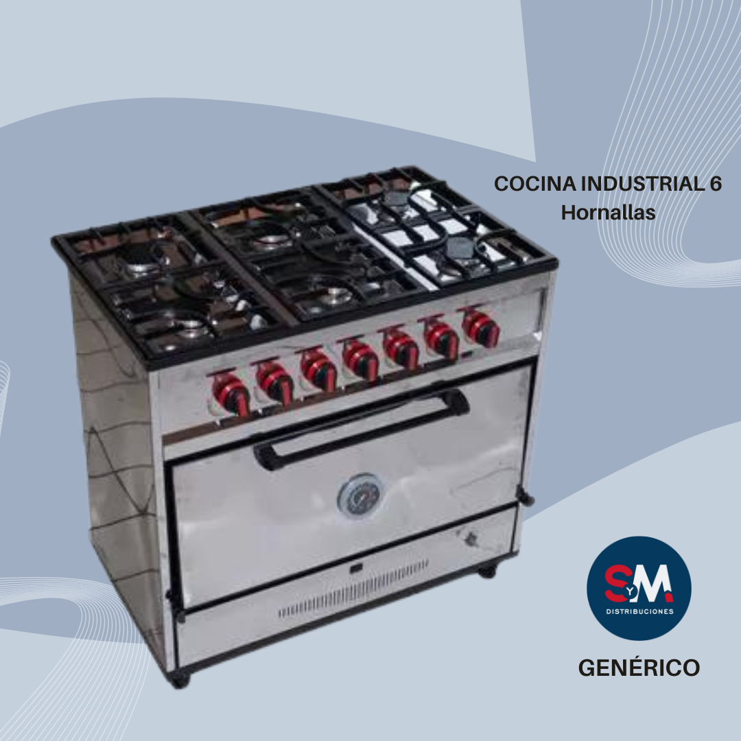 COCINA INDUSTRIAL 6 HORNALLAS